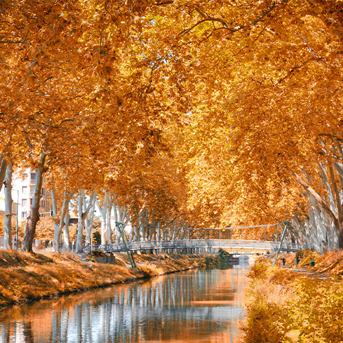 Der Canal du Midi Der Canal du Midi