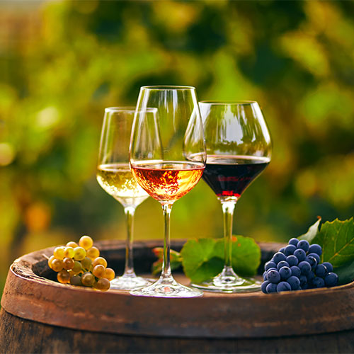 Weingut Weingut
