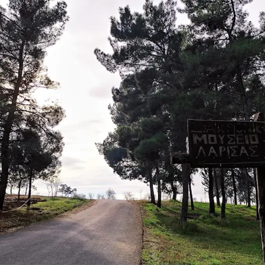 A scenic view of Mezourlos Grove A scenic view of Mezourlos Grove