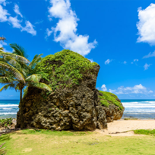 Scenic view of beach of Bathsheba Scenic view of beach of Bathsheba