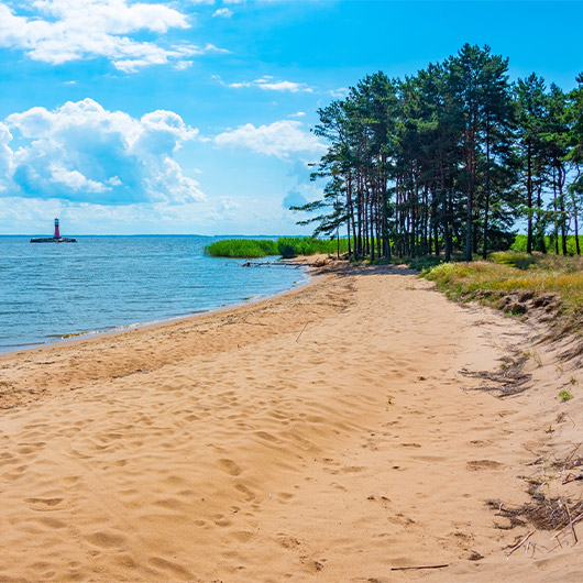 Scenic view of Curonian Spit Scenic view of Curonian Spit