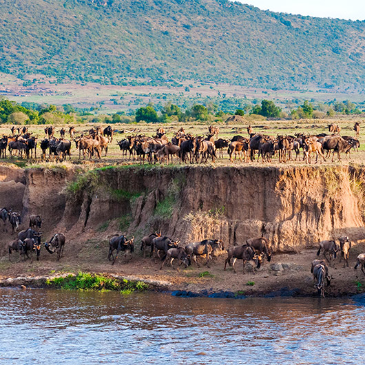 Scenic view of Maasai Mara National Reserve Scenic view of Maasai Mara National Reserve
