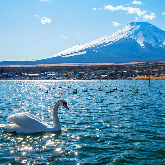 Scenic view of Mount Fuji Scenic view of Mount Fuji