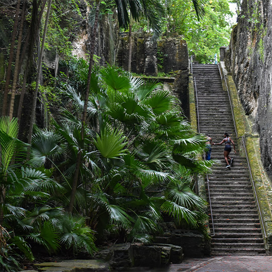 Scenic view of Queen’s Staircase Scenic view of Queen’s Staircase