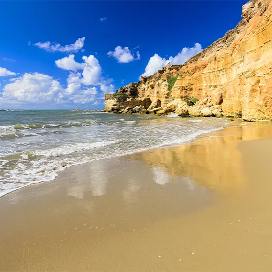 Uma bela vista da Província de Barletta‑Andria‑Trani Uma bela vista da Província de Barletta‑Andria‑Trani