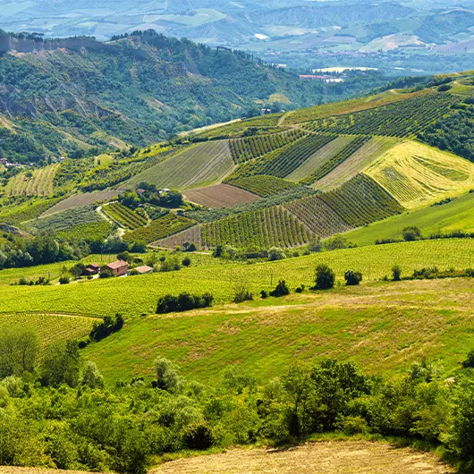 Une belle vue du paysage vallonné Une belle vue du paysage vallonné