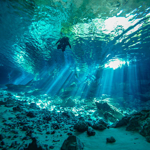 Cancún sous l'eau Cancún sous l'eaun
