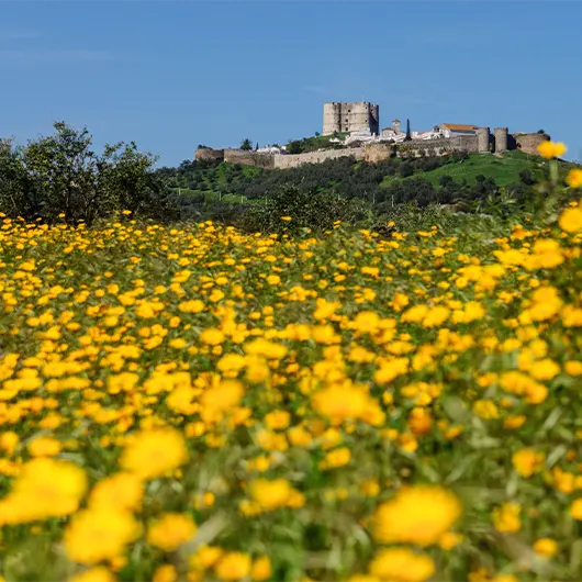 Uma vista panorâmica do Concelho de Estremoz Uma vista panorâmica do Concelho de Estremoz