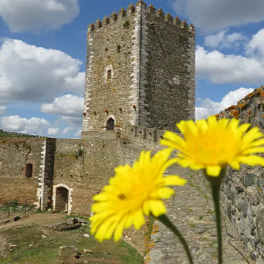 A Scenic View of Ruins of an Ancient Medieval Castle A Scenic View of Ruins of an Ancient Medieval Castle