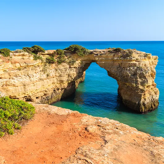 A Scenic View of Green Plants nn Cliff & View of Rock Arch A Scenic View of Green Plants nn Cliff & View of Rock Arch