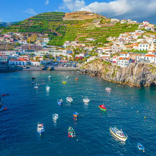 Uma vista panorâmica da vila de Câmara de Lobos Uma vista panorâmica da vila de Câmara de Lobos