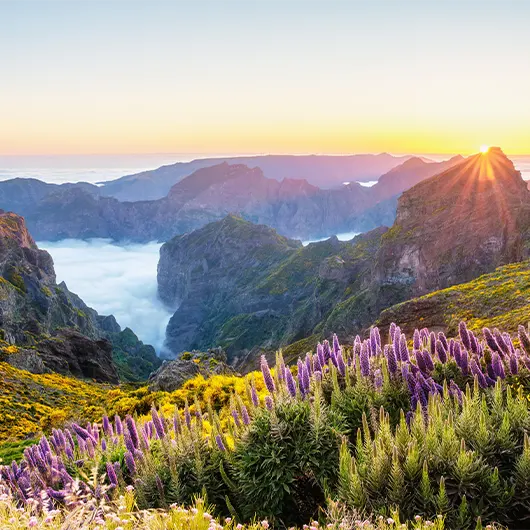 A Scenic View of Pico Do Arieiro A Scenic View of Pico Do Arieiro