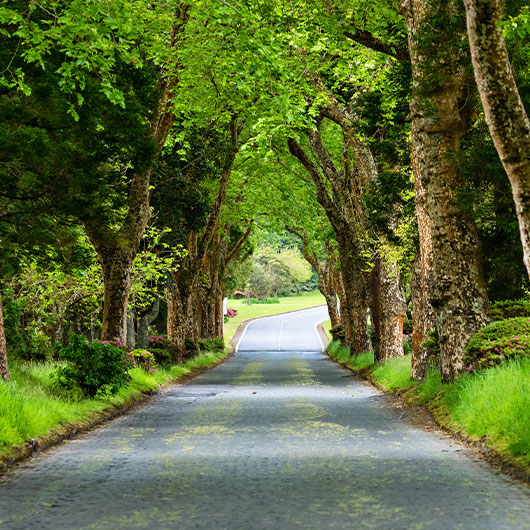 Brick Road to Furnas Lake Brick Road to Furnas Lake