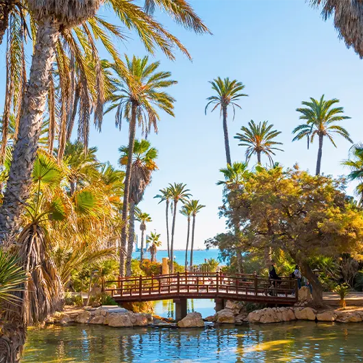 Una vista bonita del Parc El Palmeral Una vista bonita del Parc El Palmeral