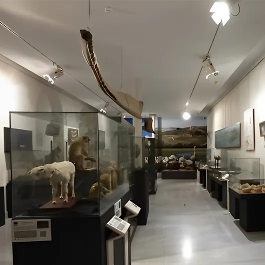 A Scenic View of Museo Aguilar y Eslava A Scenic View of Museo Aguilar y Eslava