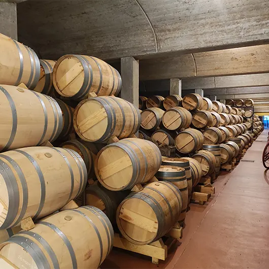 A Scenic View of Wine cellar A Scenic View of Wine cellar
