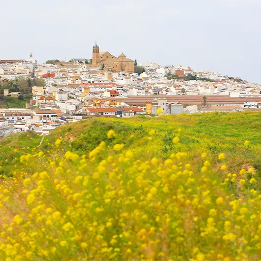Una vista bonita del idílico pueblo de Montilla Una vista bonita del idílico pueblo de Montilla