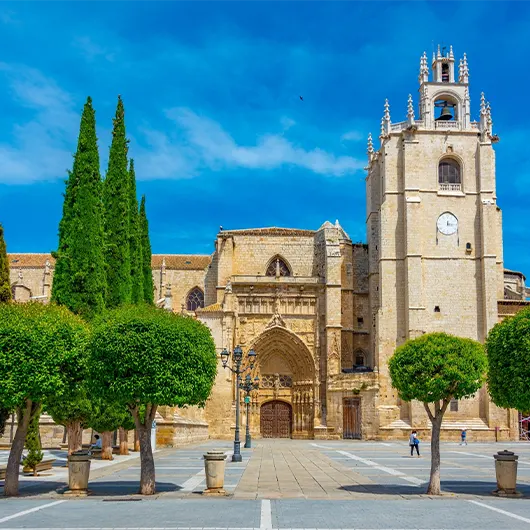Una vista bonita de la Catedral de San Antolín Una vista bonita de la Catedral de San Antolín