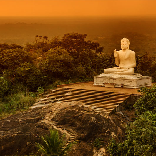 Buddha in Meditation Buddha in Meditation