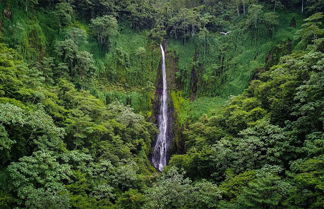 Cocos Island, Costa Rica