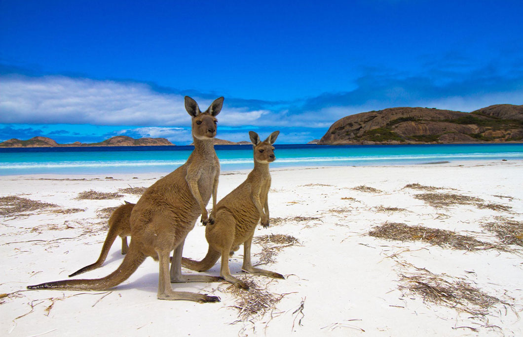 Kangaroo Island, Australia