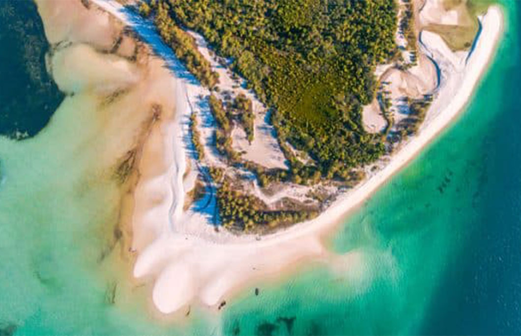 Mafia Island – Tanzania Mafia Island – Tanzania