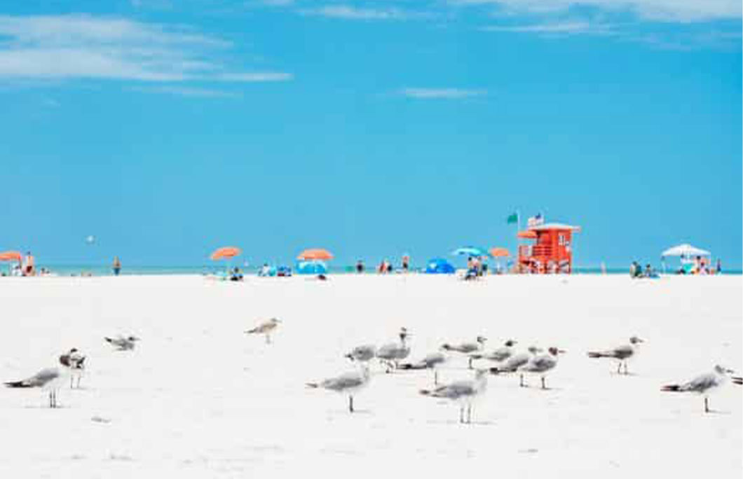Siesta Beach – Florida, United States Siesta Beach – Florida, United States