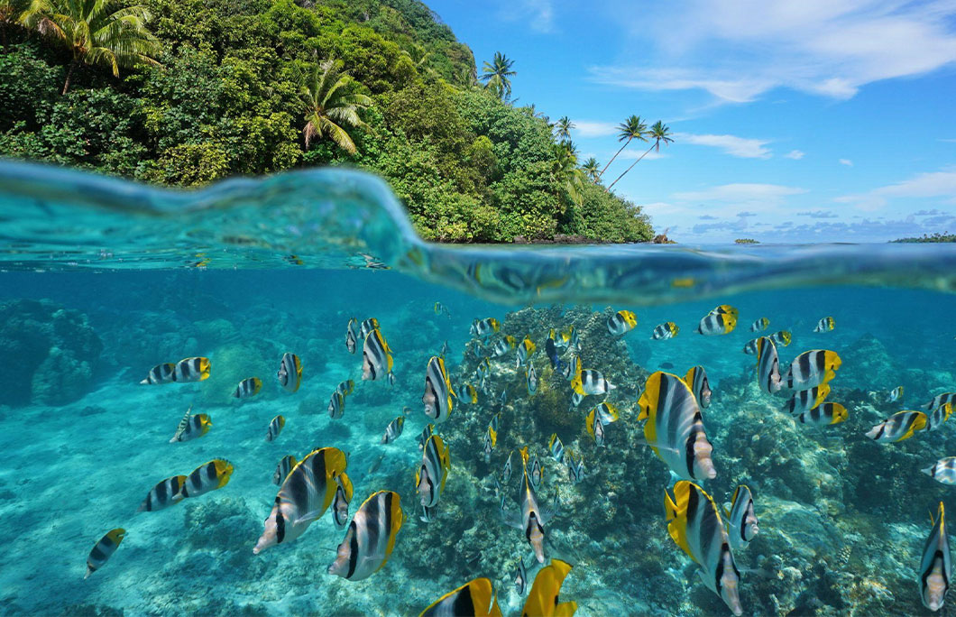 Tahiti, French Polynesia