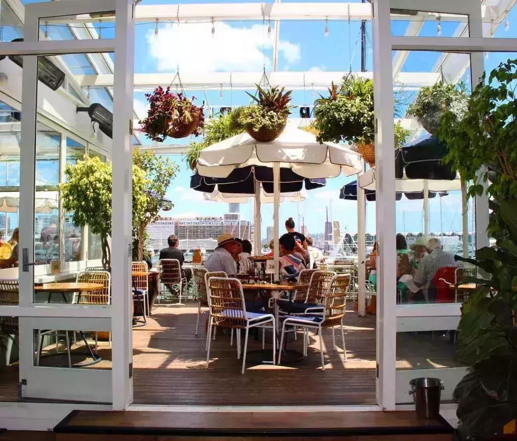 Auckland bars