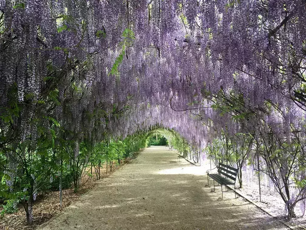 48 hours in Adelaide