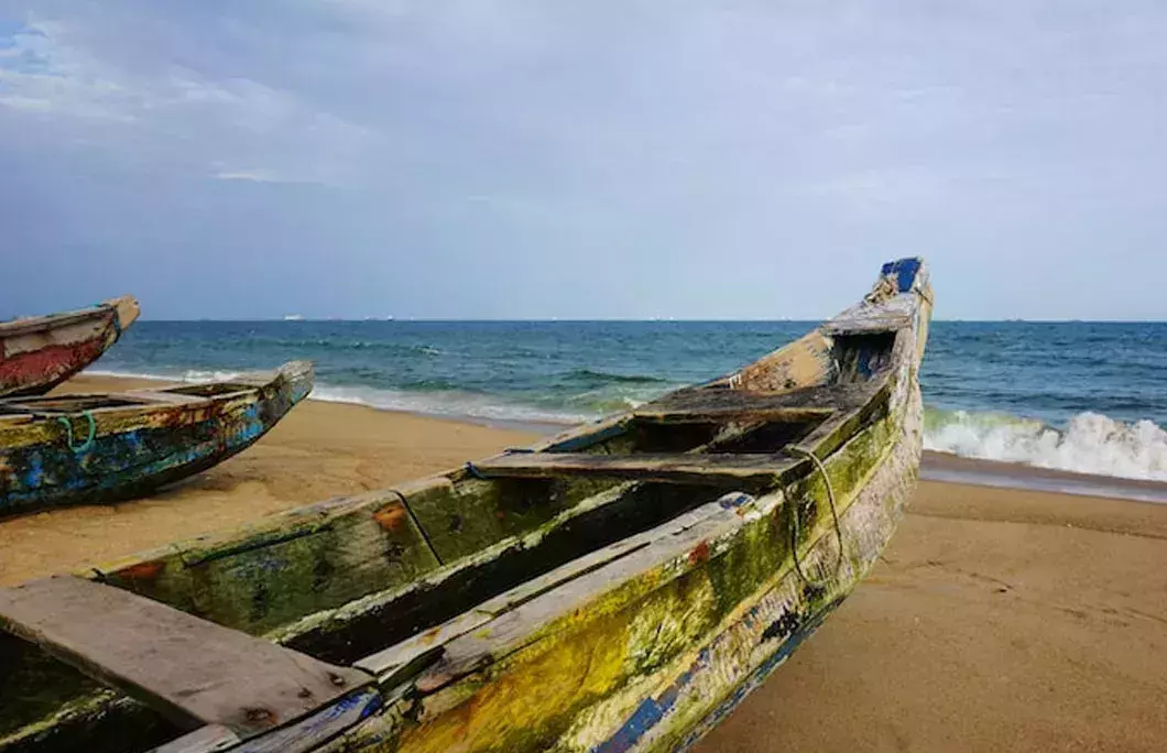 The largest ivory seizure in Africa occurred in Togo