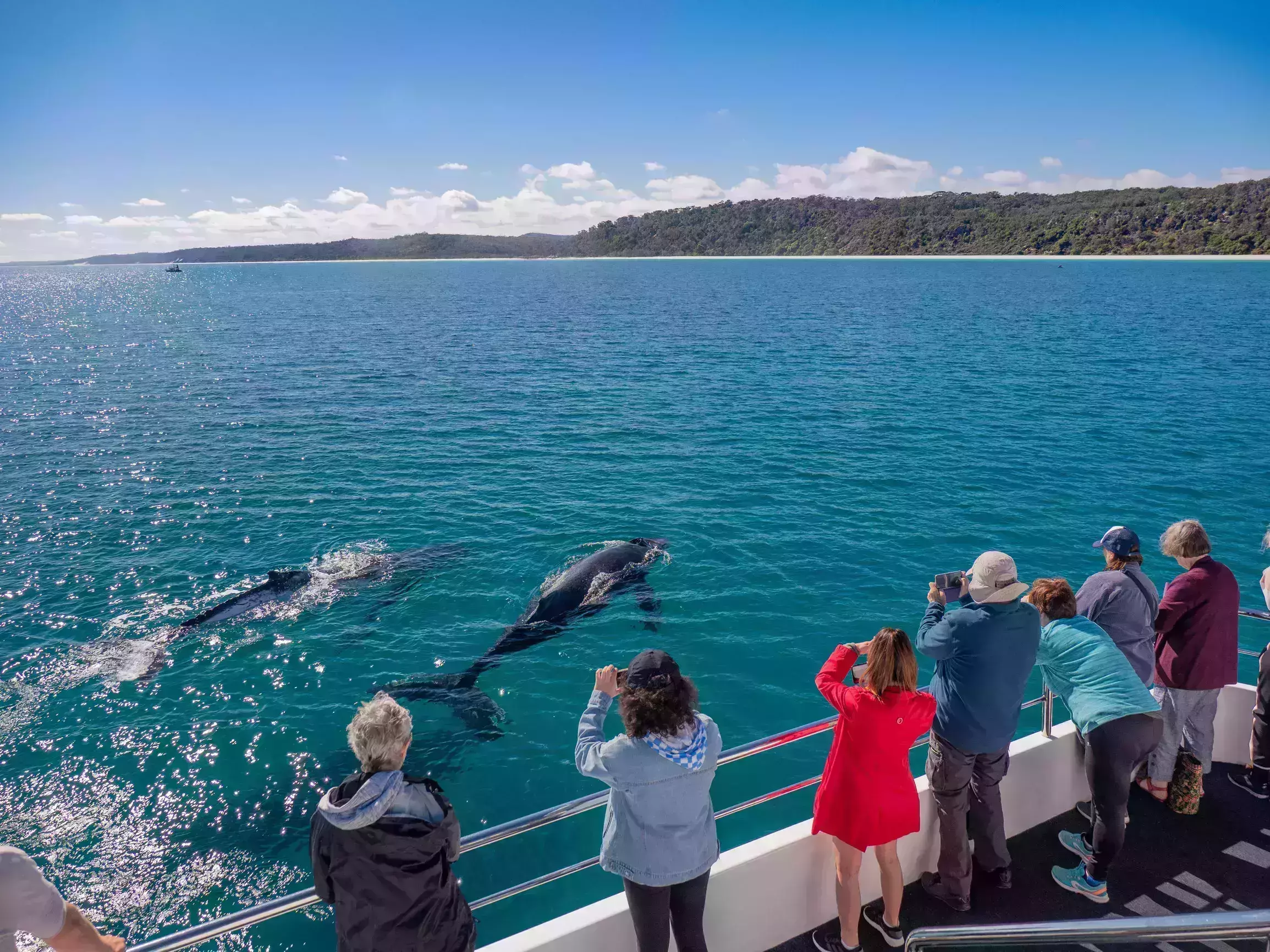 Brisbane&amp;amp;rsquo;s Moreton Bay
