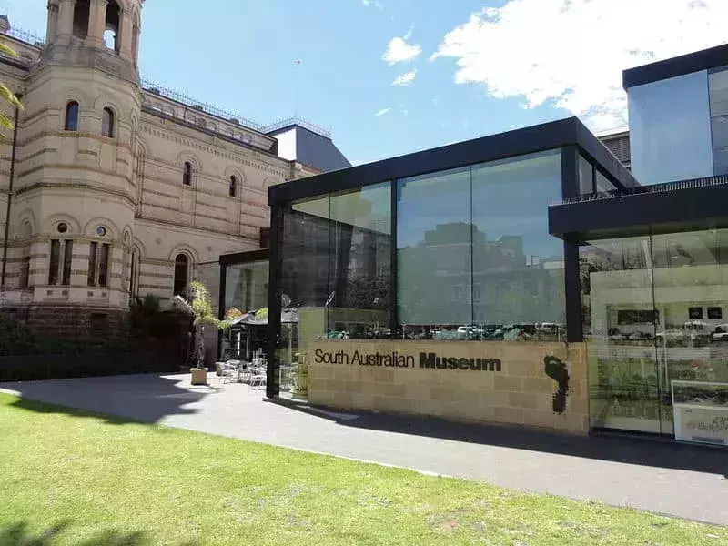 Soak up alllll the culture at North Terrace