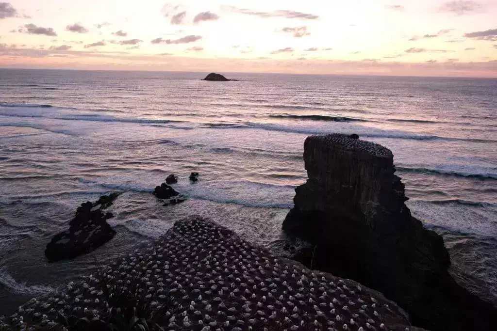 48 Hours in Auckland