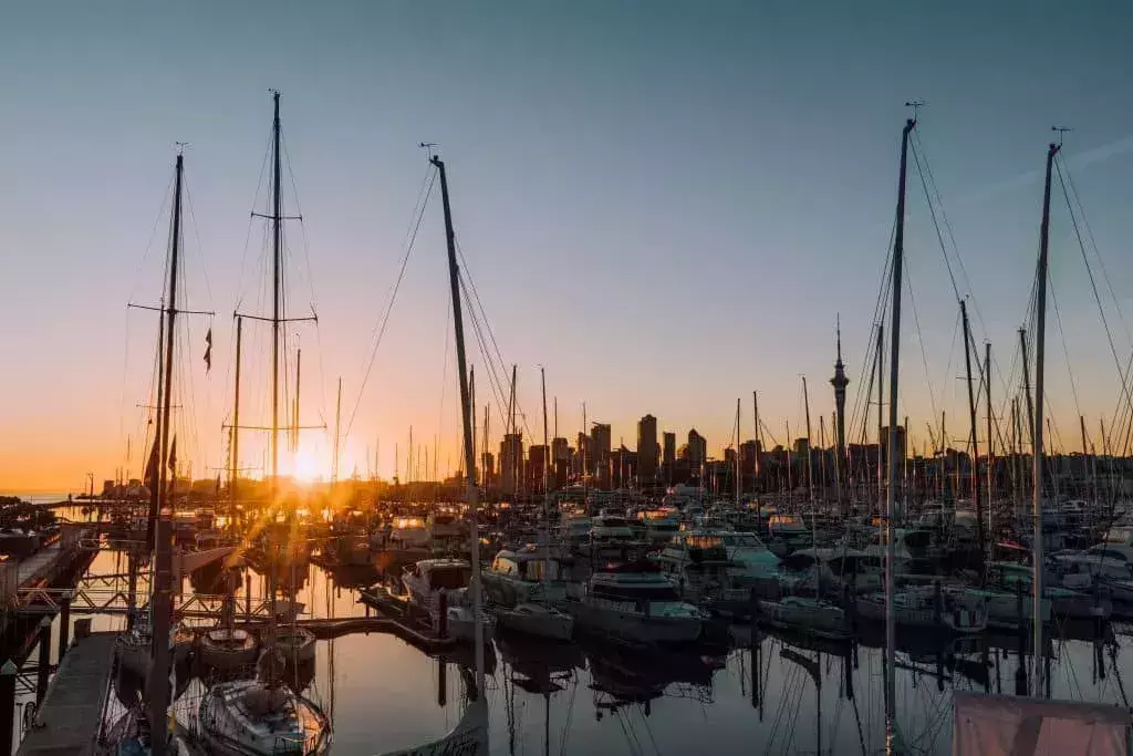 48 Hours in Auckland