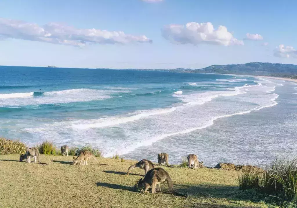 visit australia