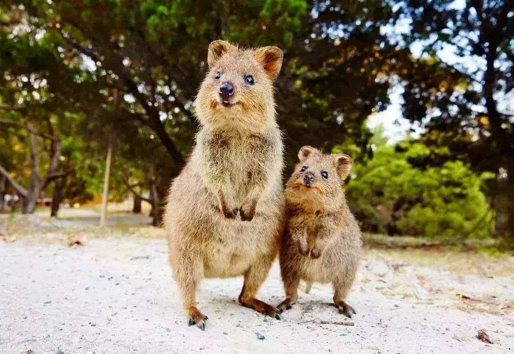 australia visit 2021