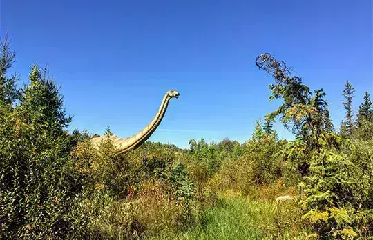 Jurassic Forest