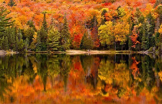 Algonquin Provincial Park