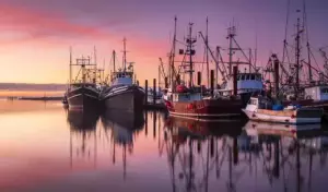 7 Fun Day Trips from Vancouver