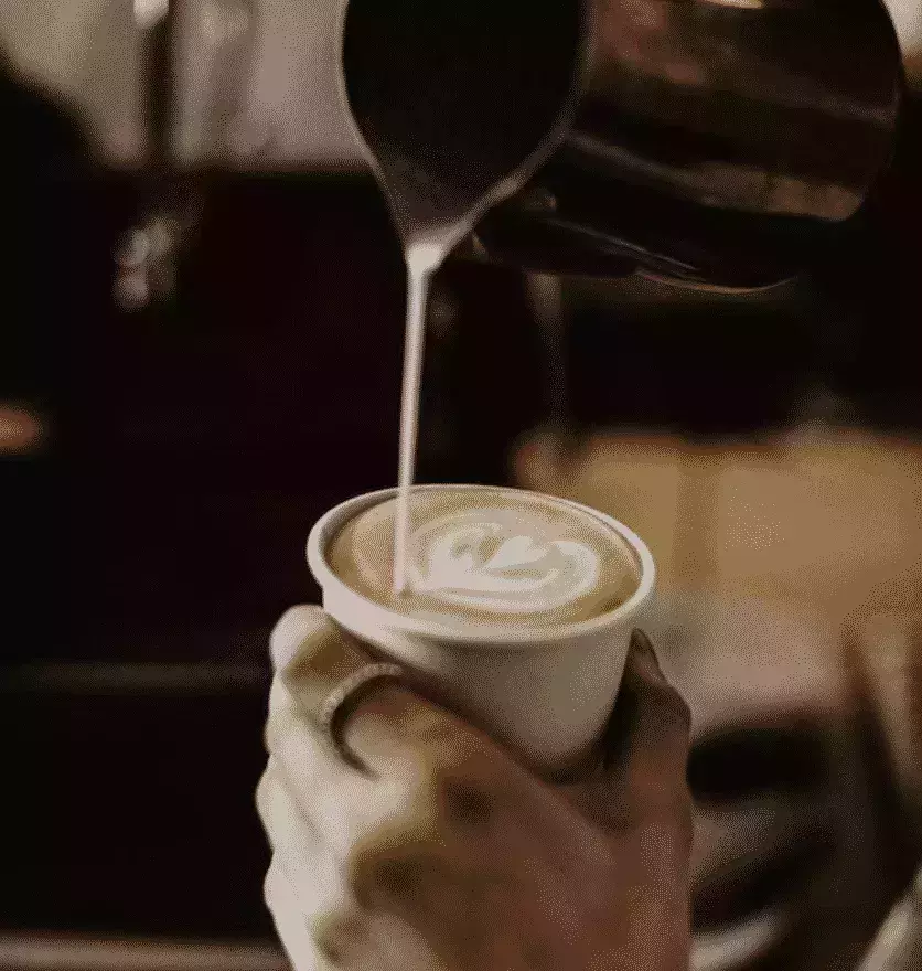 Timbertrain Coffee Roasters