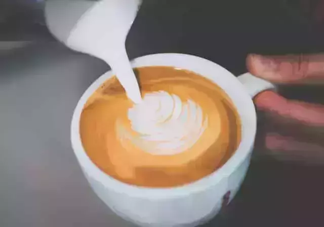 Higher Ground Cafe in Calgary