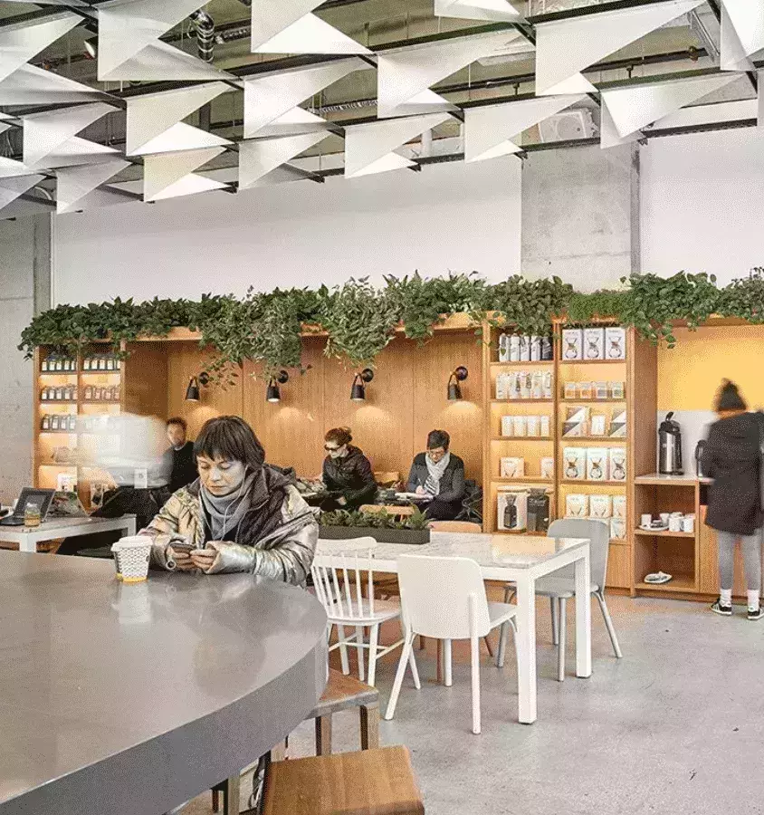 Pilot Coffee Roasters