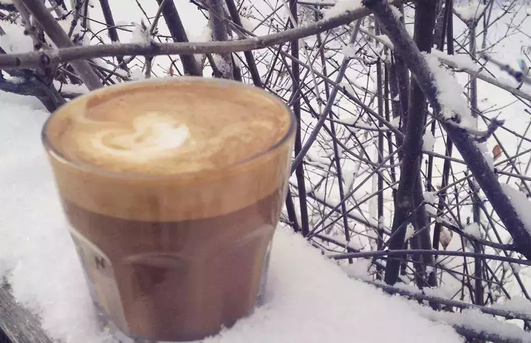 6. Bean North Coffee Roasting- Yukon