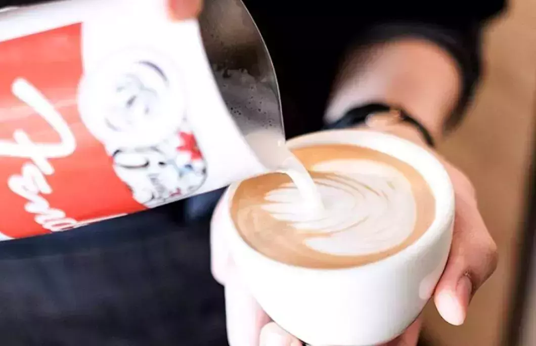 39. De Mello Palheta Coffee Roasters – Toronto Ontario