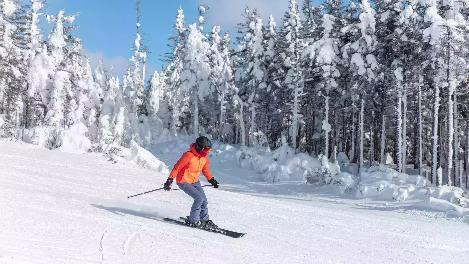 48 Hours in Alberta