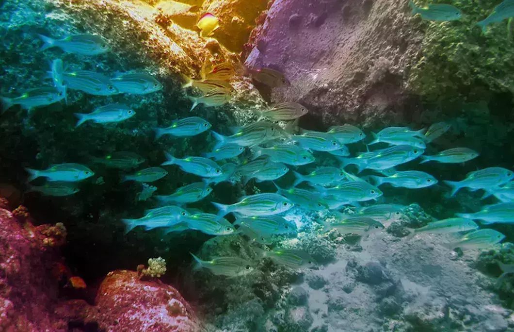The country is surrounded by coral reefs