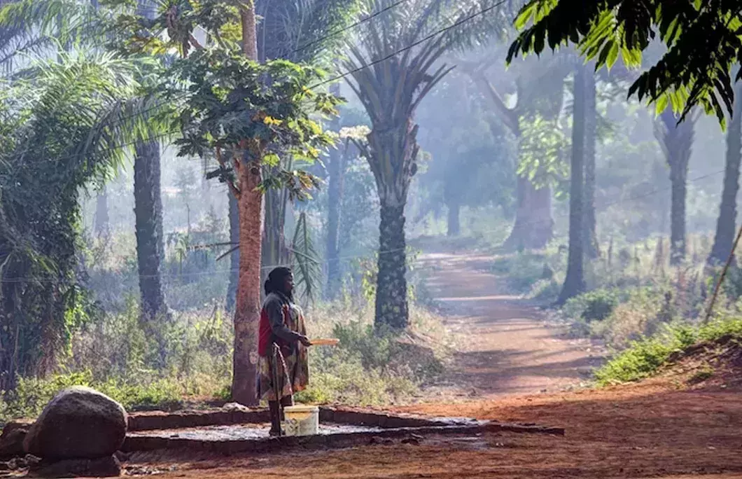 Cameroon&amp;amp;amp;amp;amp;amp;rsquo;s nickname is &amp;amp;amp;amp;amp;amp;lsquo;Africa in Miniature&amp;amp;amp;amp;amp;amp;rsquo; because of its geographical and cultural diversity
