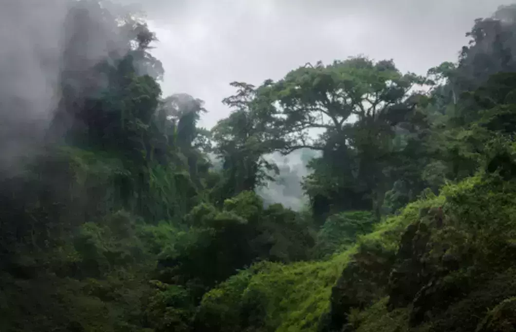 It&amp;amp;amp;amp;amp;amp;rsquo;s one of the wettest places in the world