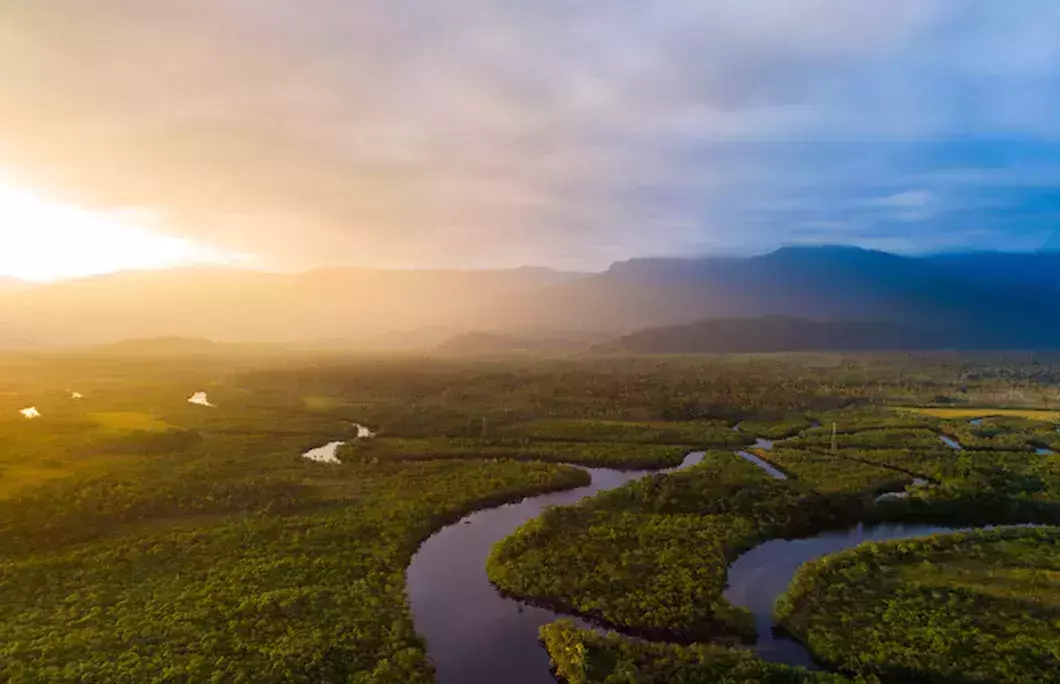 More than 88% of Gabon is rainforest
